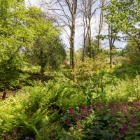 Berkshire branch of the Cambridge Society visit to Aberglasney