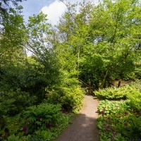 Berkshire branch of the Cambridge Society visit to Aberglasney