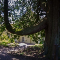 Berkshire branch of the Cambridge Society visit to Aberglasney