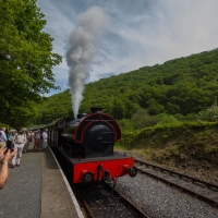 Berkshire branch of the Cambridge Society visit to Gwili Heritage Steam Railway