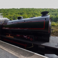 Berkshire branch of the Cambridge Society visit to Gwili Heritage Steam Railway