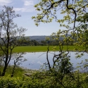 Berkshire branch of the Cambridge Society visit to  Dinefwr Castle and Newton House