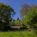 Berkshire branch of the Cambridge Society visit to  Dinefwr Castle and Newton House