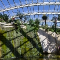 Berkshire branch of the Cambridge Society visit to National Botanic Garden of Wales