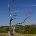 Berkshire branch of the Cambridge Society visit to National Botanic Garden of Wales