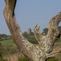 Berkshire branch of the Cambridge Society visit to National Botanic Garden of Wales