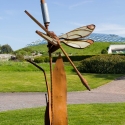 Berkshire branch of the Cambridge Society visit to National Botanic Garden of Wales