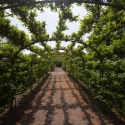 Berkshire branch of the Cambridge Society visit to Aberglasney