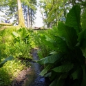 Berkshire branch of the Cambridge Society visit to Aberglasney