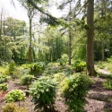 Berkshire branch of the Cambridge Society visit to Aberglasney