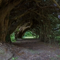 Berkshire branch of the Cambridge Society visit to Aberglasney