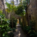 Berkshire branch of the Cambridge Society visit to Aberglasney