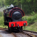 Berkshire branch of the Cambridge Society visit to Gwili Heritage Steam Railway