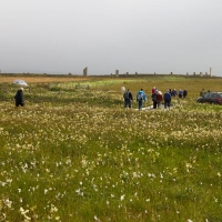 Ring of Brodgar