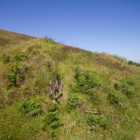 Blackhammer Tomb  on Rousay