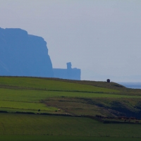 Scotland, Orkneys, Marwick Head