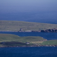 Shetland