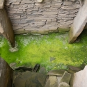 Midhowe chambered tomb on Rousay