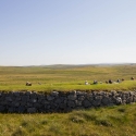 Stanydale