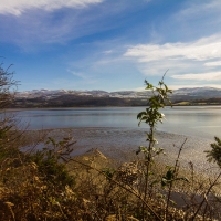 Portmeirion Village