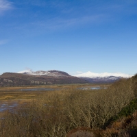 Portmeirion Village