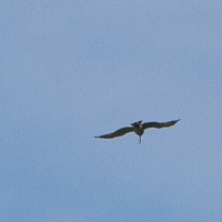 IMG_8668.jpg