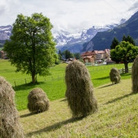 Wengen