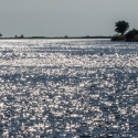 River Chobe