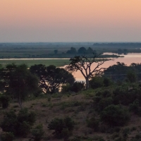 Chobe river