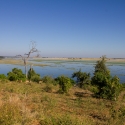 Chobe river