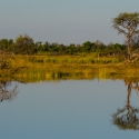 Campsite lake