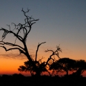 Botswana Sunset