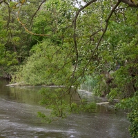 National Trust - FLATFORD MILL