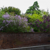 Near to the Colchester firstsite gallery