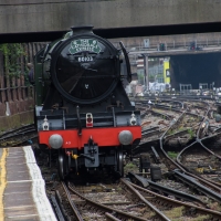 Flying Scotsman