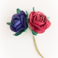 Z20-Miniature-roses