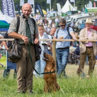 The Game Fair