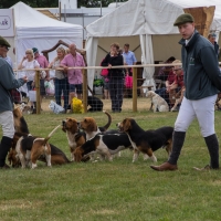 The Game Fair