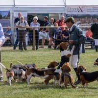 The Game Fair