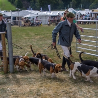 The Game Fair