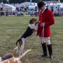 The Game Fair