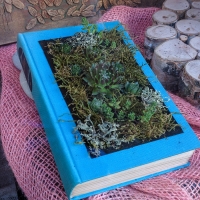 Books used as flower pots