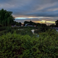 The Glastonbury Abbey Extravaganza