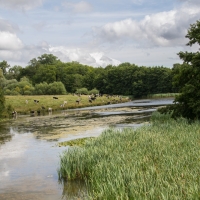 Compton Verney Art Gallery and Park