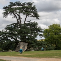 Compton Verney Art Gallery and Park