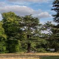 Compton Verney Art Gallery and Park