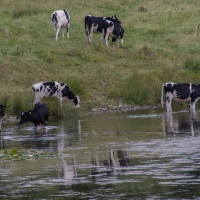 Compton Verney Art Gallery and Park Compton Verney Art Gallery and Park