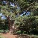 Compton Verney Art Gallery and Park