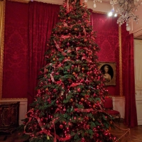 Waddesdon Manor Christmas tree lights