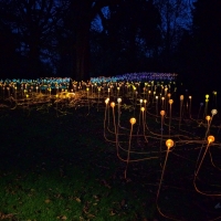 Waddesdon Manor Christmas lights